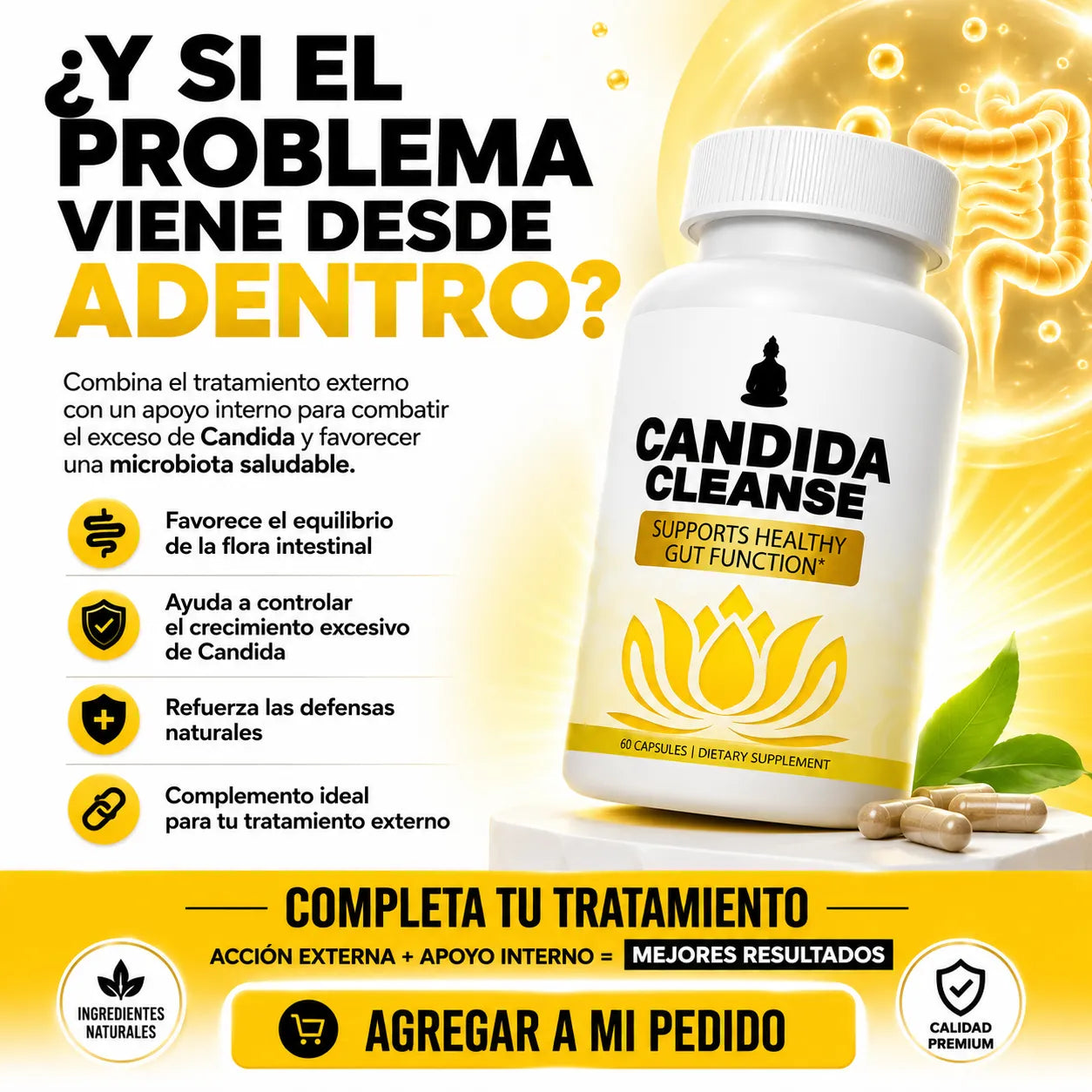 CANDIDA CLEANSE 60